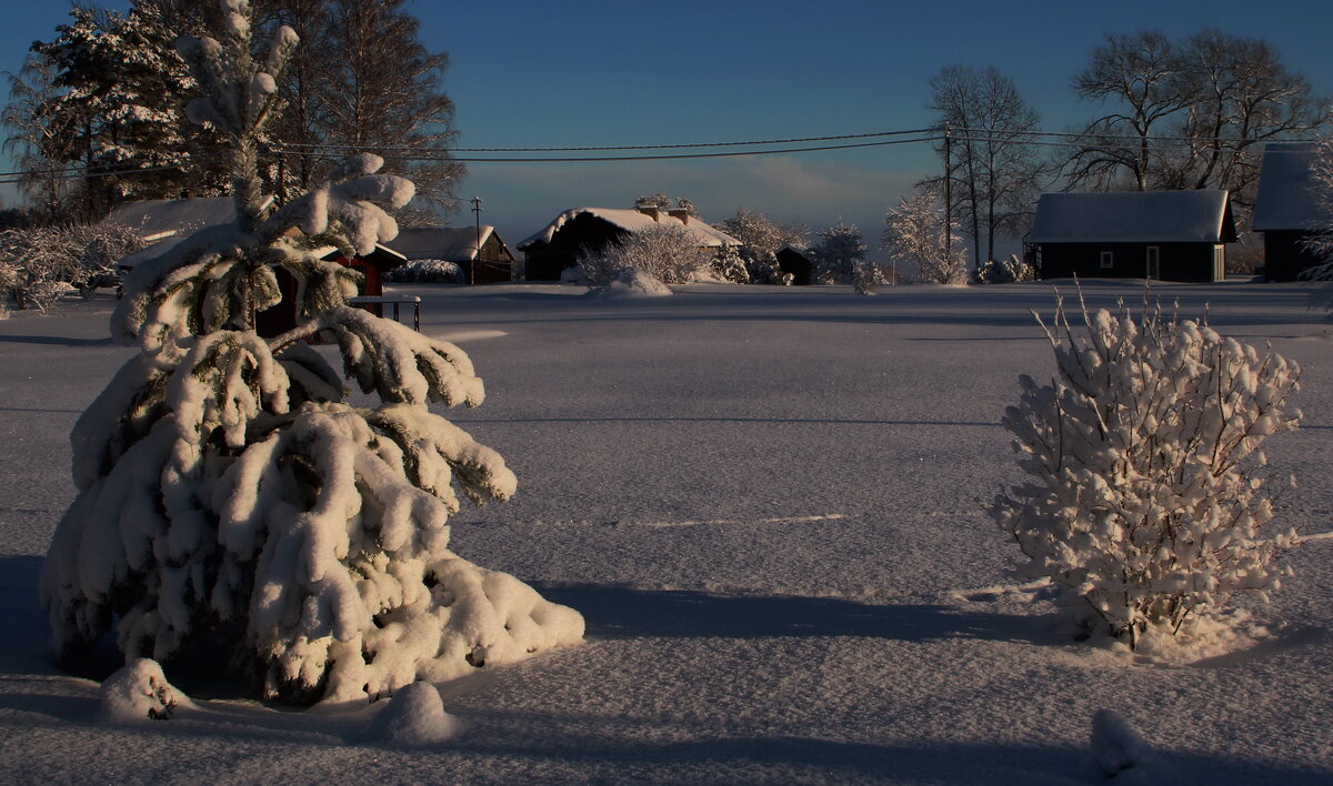 Зимние прогулки ..♥ - Татьян@ Ивановна