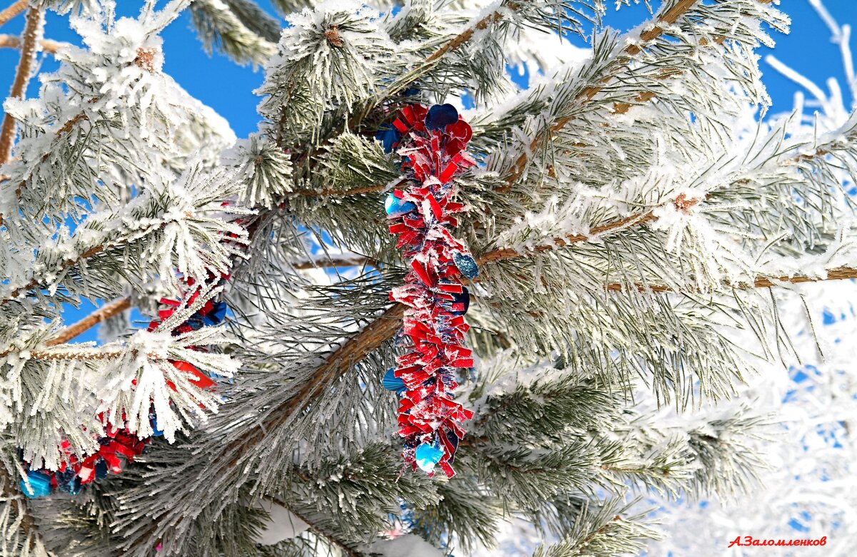 Праздники всё ближе! - Андрей Заломленков