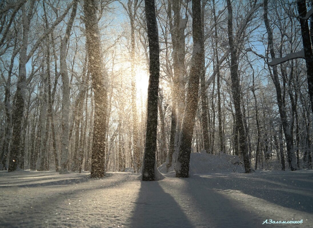 Про зимнее волшебство... - Андрей Заломленков
