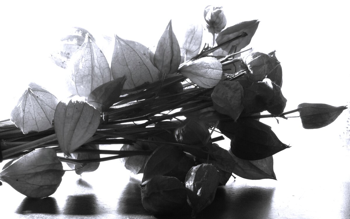 пРо - воспоминания.... - Сергей 