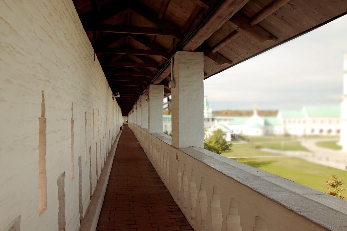 На стене. - веселов михаил 