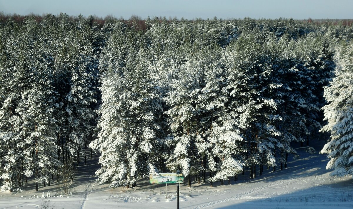 солнечный денек - Владимир 