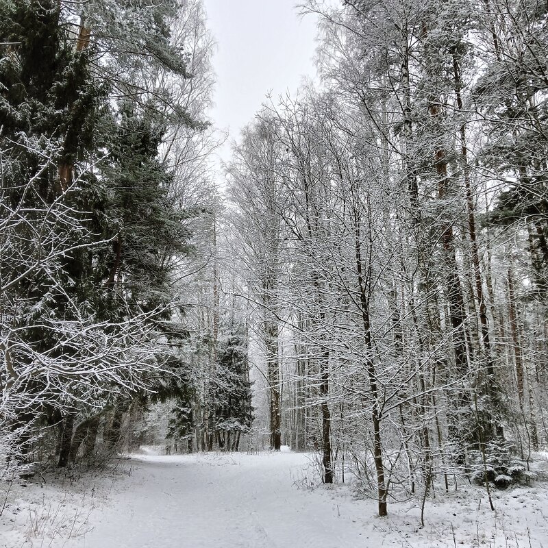 природа - Владимир 