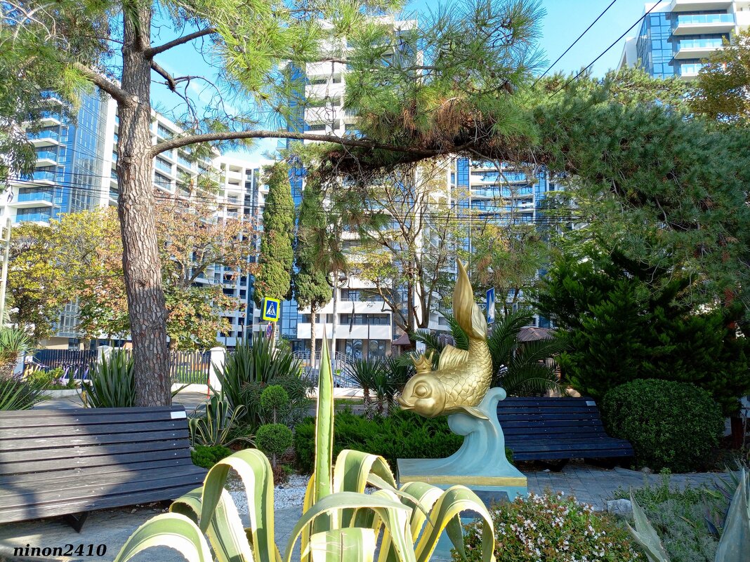 Адлер... ноябрь... - Нина Бутко