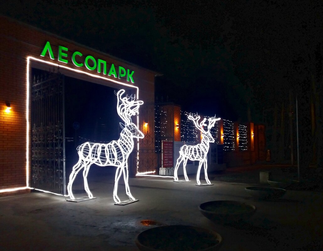 Олени приглашают в Лесопарк - Galina Solovova