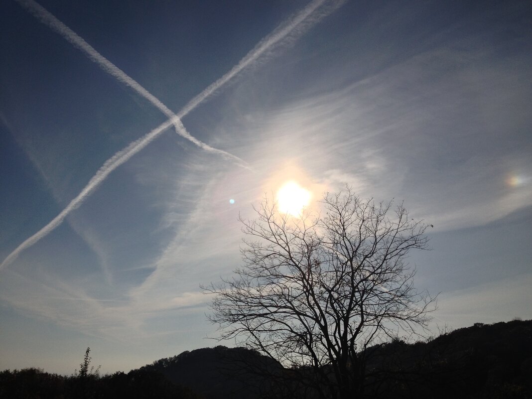 Поляна по дороге на Орлиные скалы - Tata Wolf