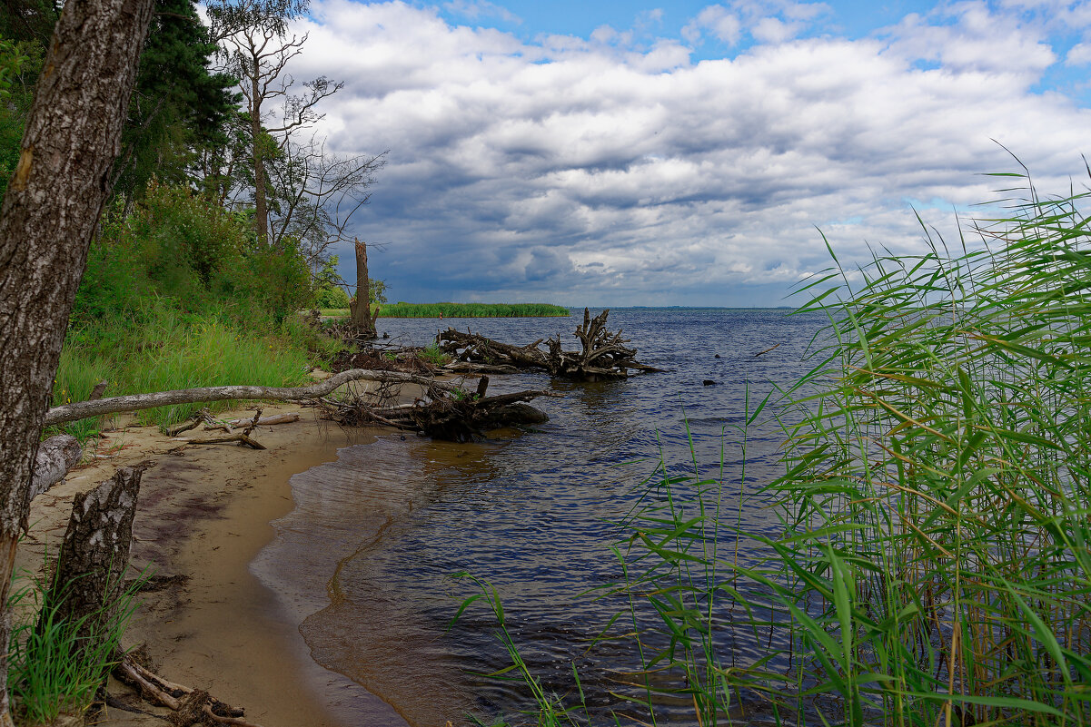 Пейзаж - Вячеслав Алтай