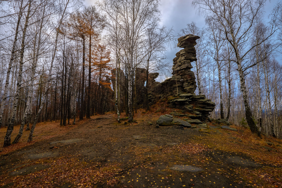 Вспоминая ушедшую осень. - Юрий кот