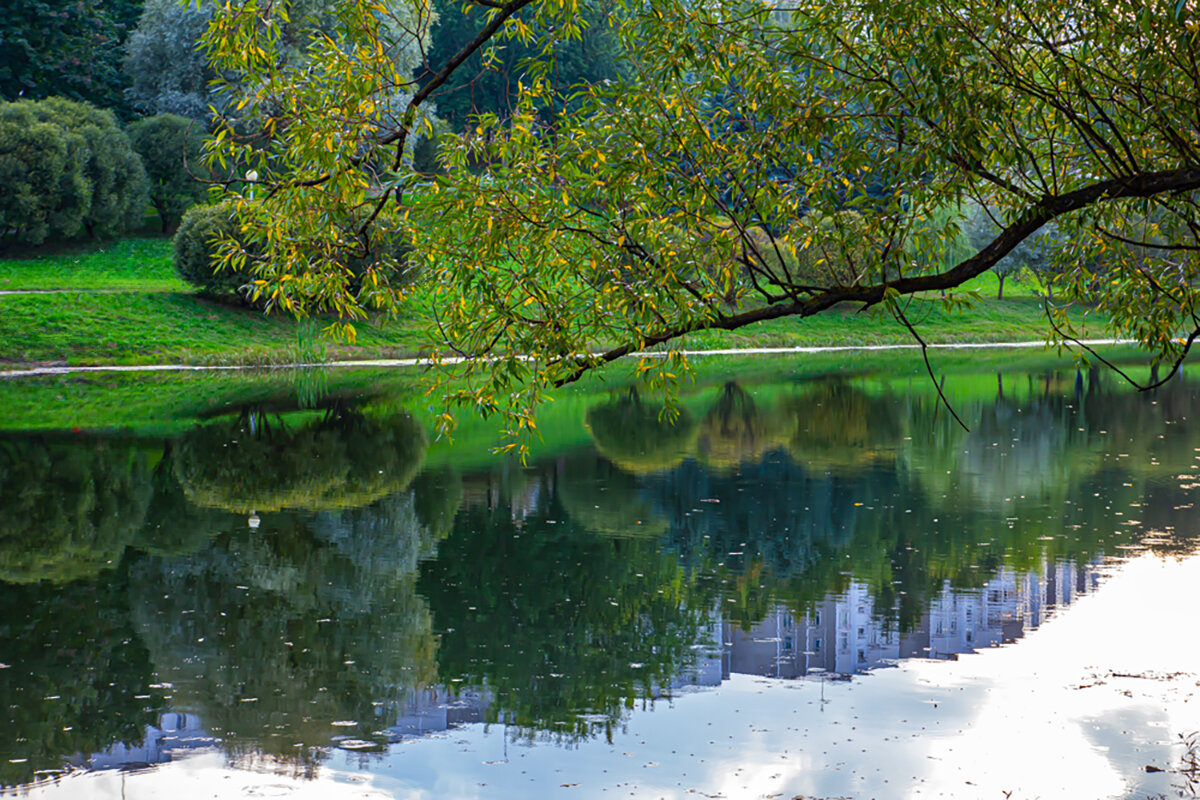 Отражение. - Lucy Schneider 