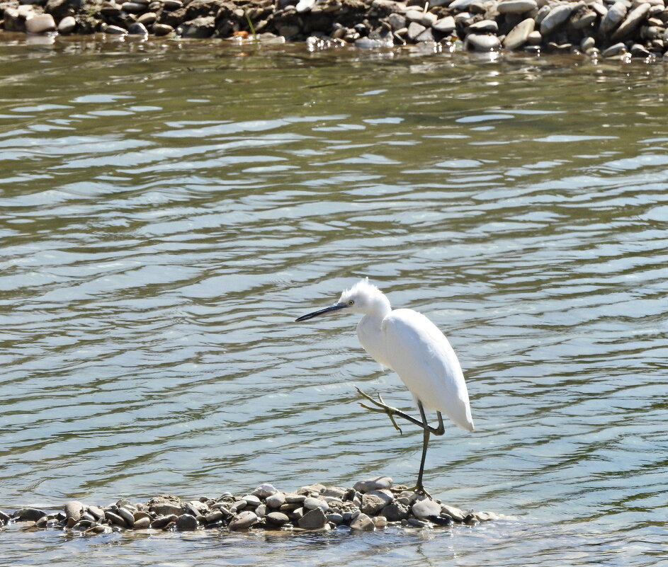 ...вот такая рыба была!.. - Александр Герасенков