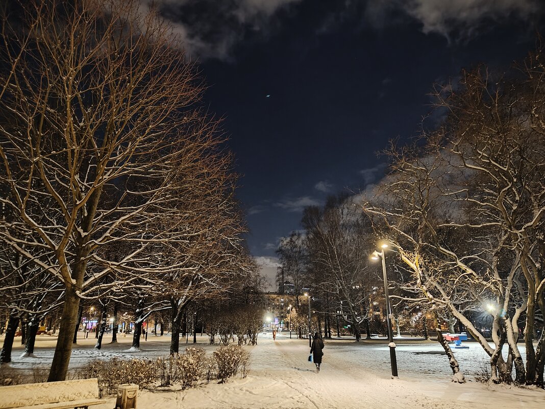 Вечерняя прогулка - Андрей 
