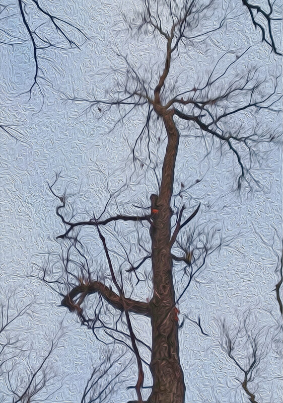 Дерева вы мои, дерева... - Валентина  Нефёдова 