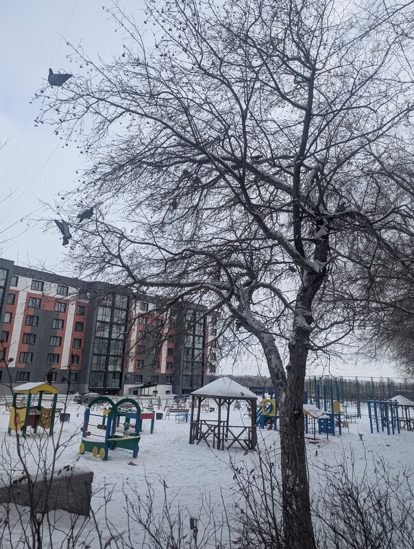 Декабрь - Андрей Хлопонин