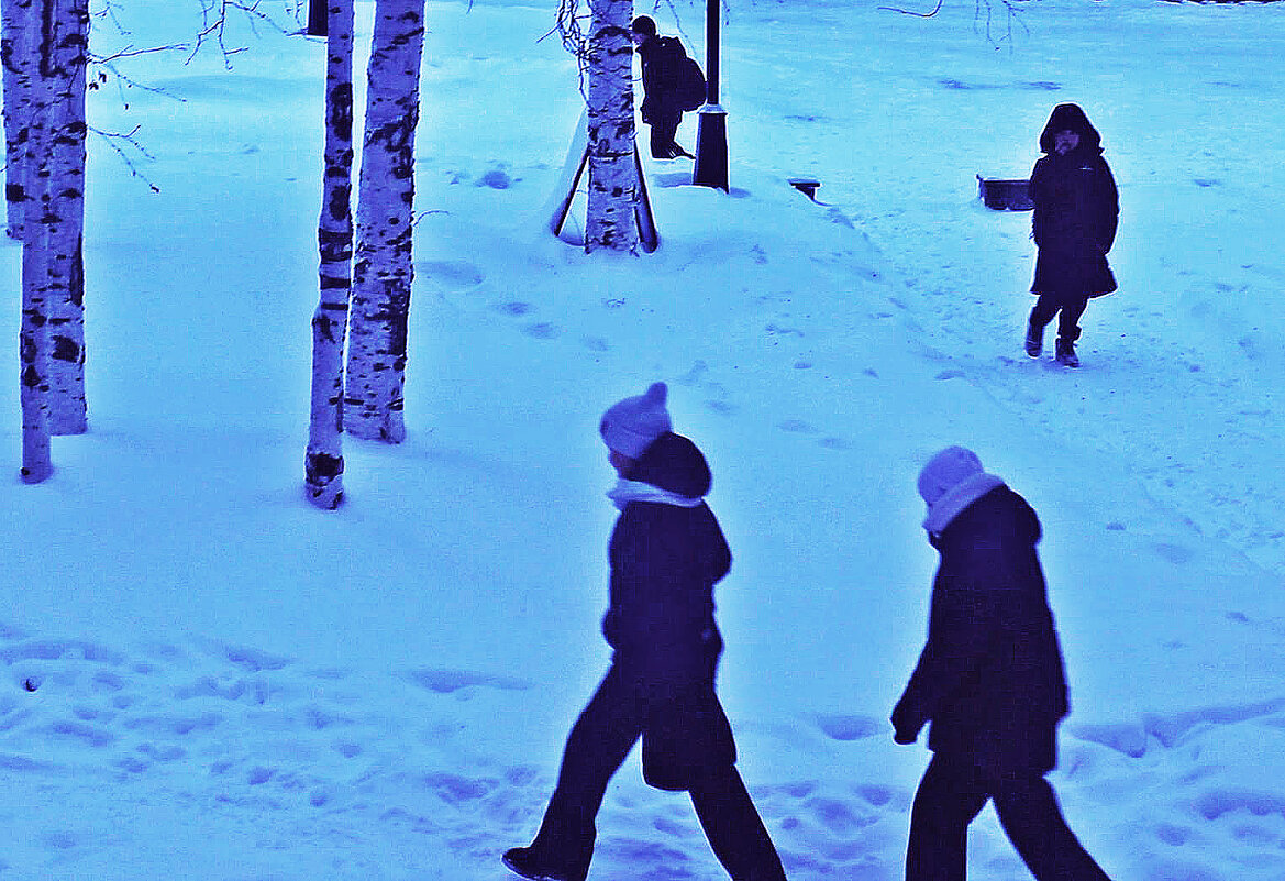 Декабрь...До Нового года-неделя! - Владимир 