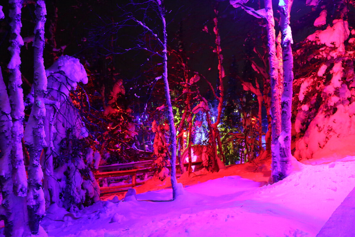 Сказки Таинственного леса - Ольга 