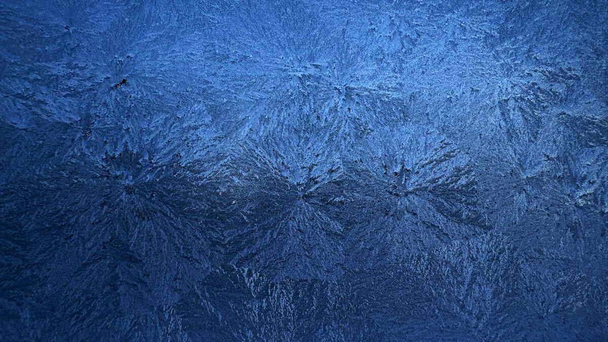 -1 - Иннокентий Авдонин