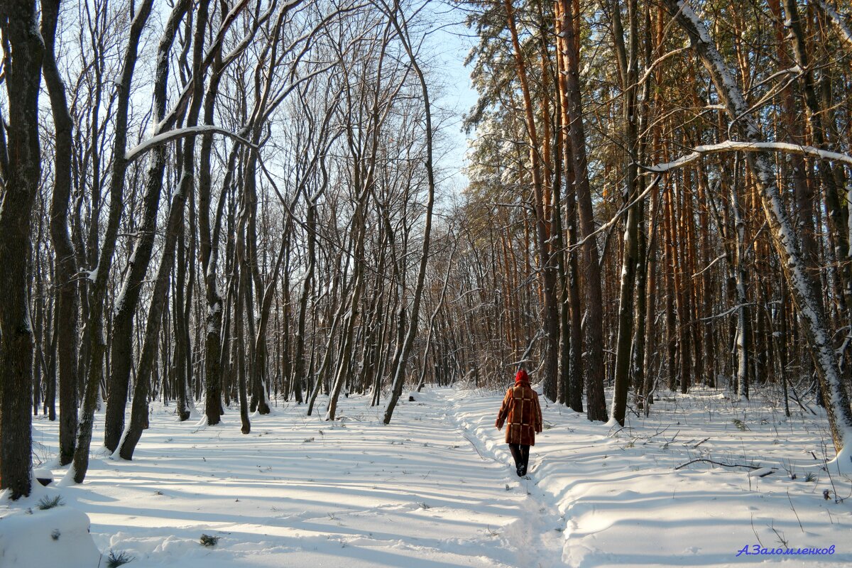 Про Красную  шапочку... - Андрей Заломленков