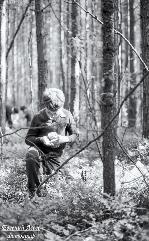 По ягоды. П/Л «Арсеналец» 1986 г. - Евгений 