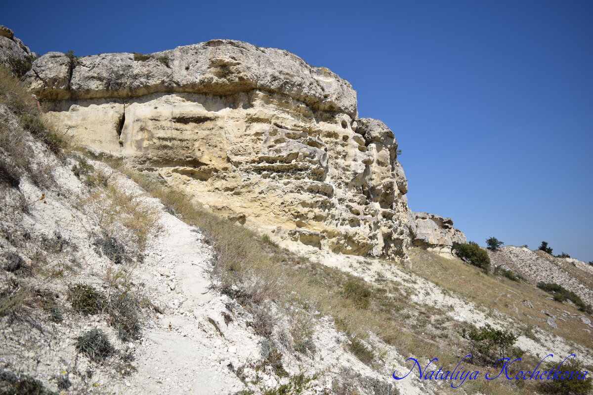 Природа Крыма - Amazing Cosmea