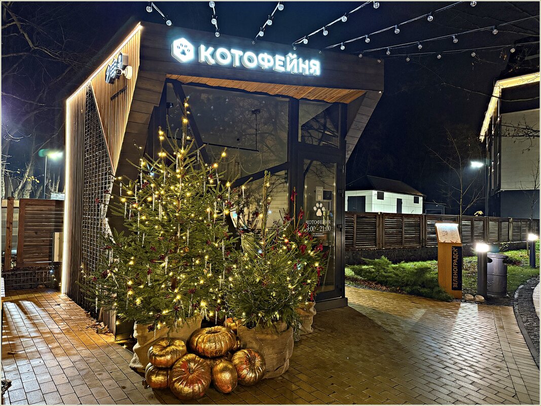 Кафе. - Валерия Комова