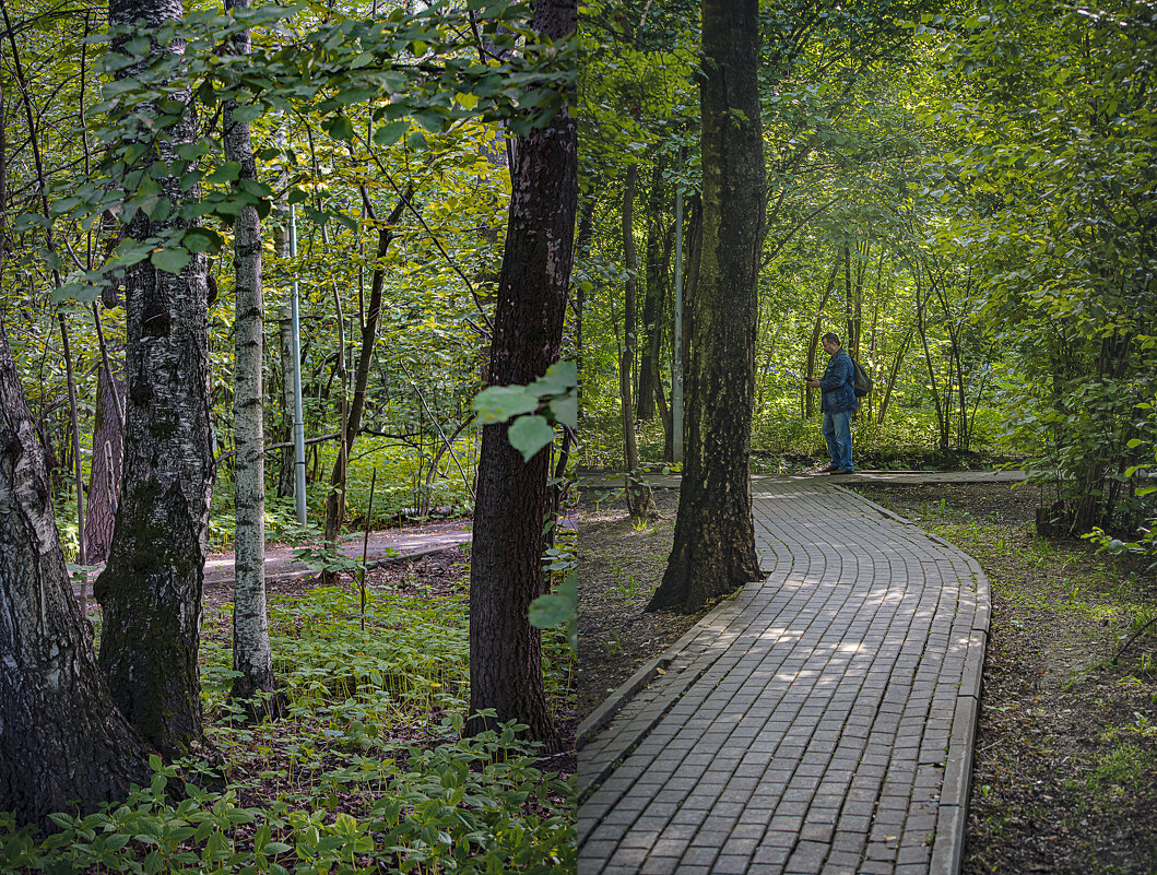 Зарисовка в лесопарке - Владимир Кроливец