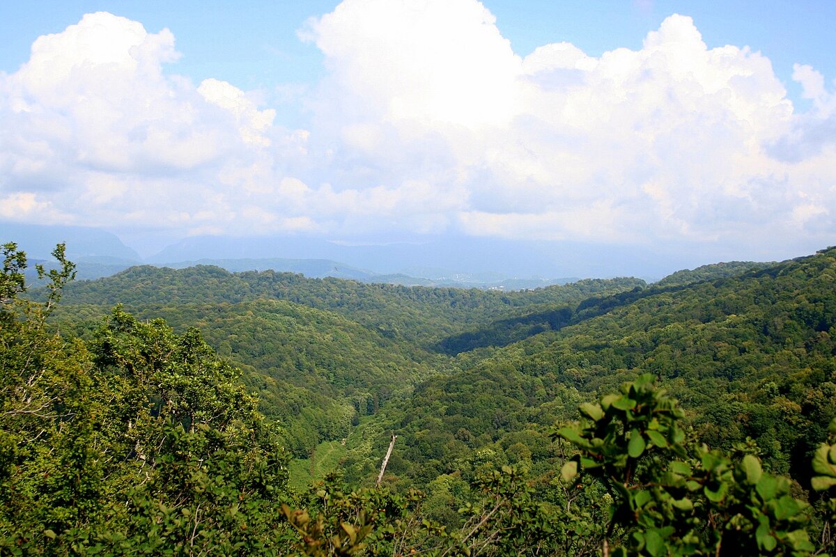 Орлиные скалы - Tata Wolf