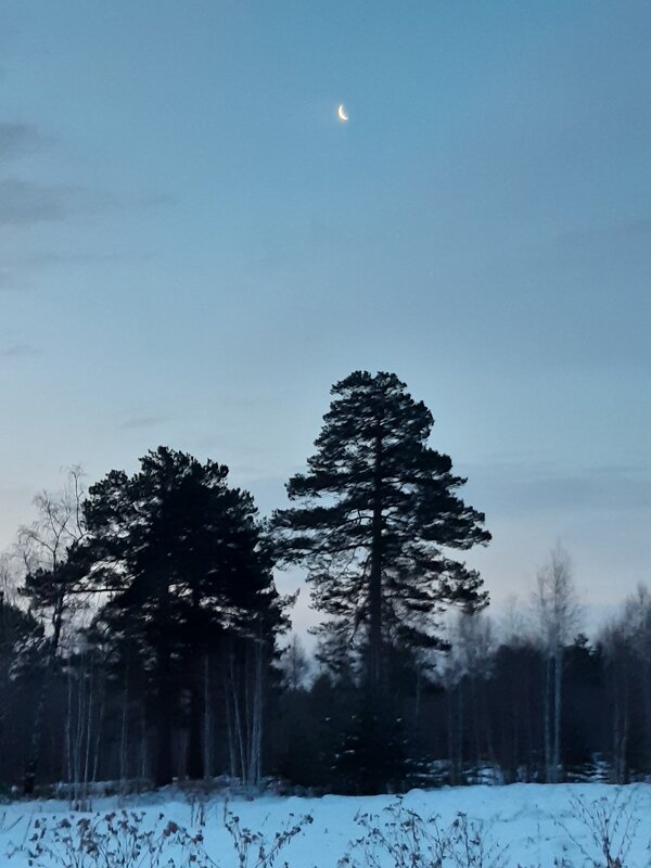 Новогоднее настроение - Галина Минчук