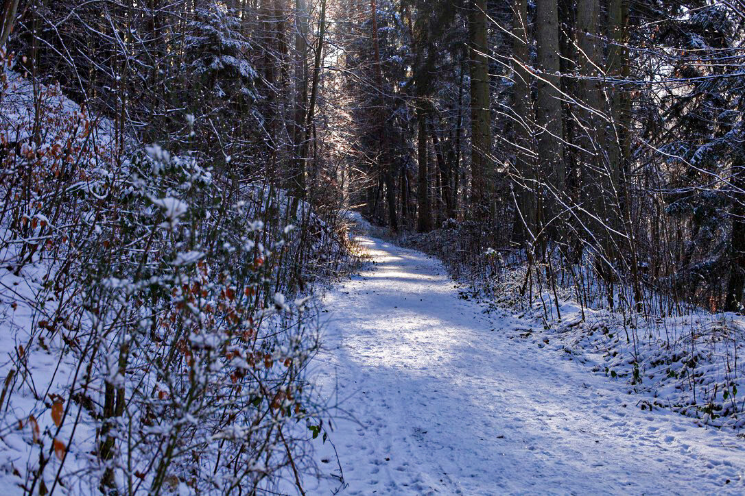 Зимняя дорога. - Lucy Schneider 