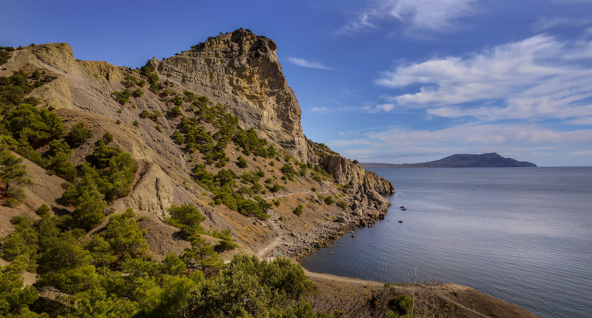 Новый свет. - Сергей Воротников