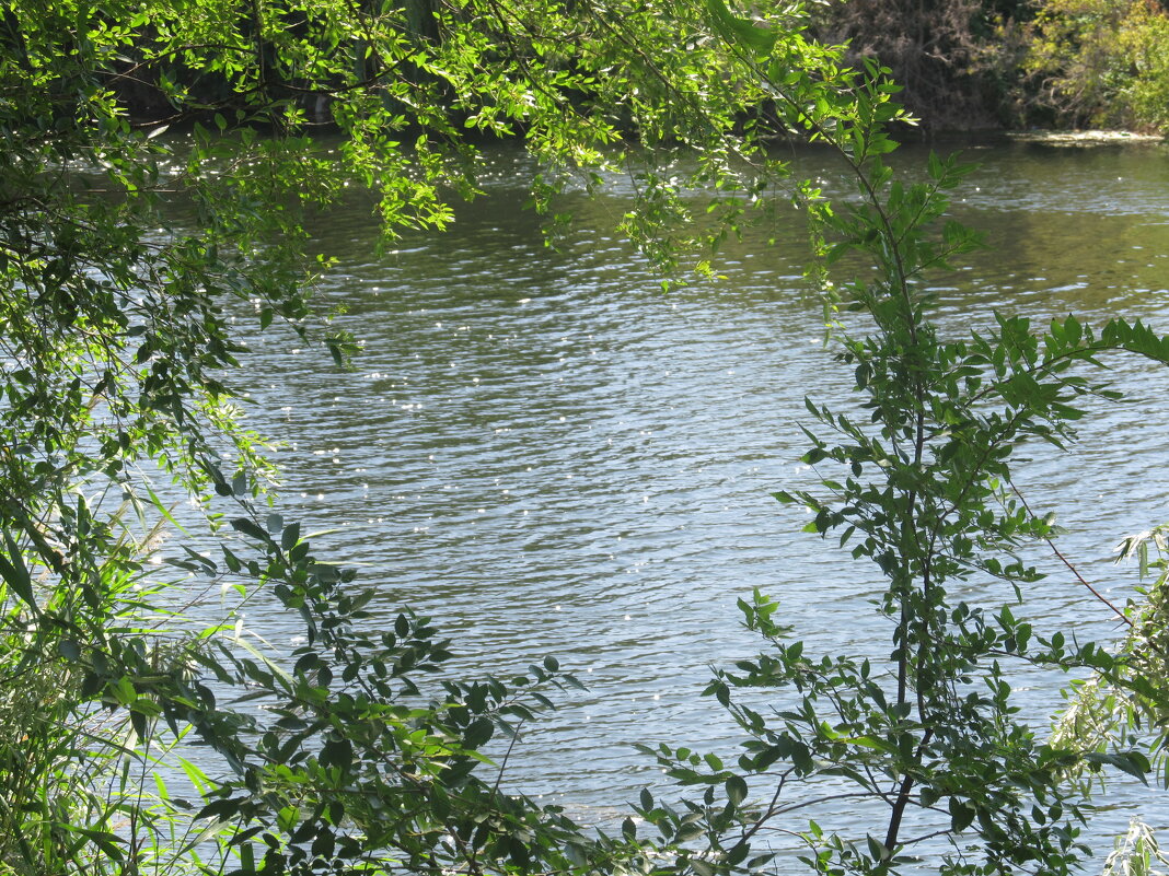 Июль - Елена Шаламова