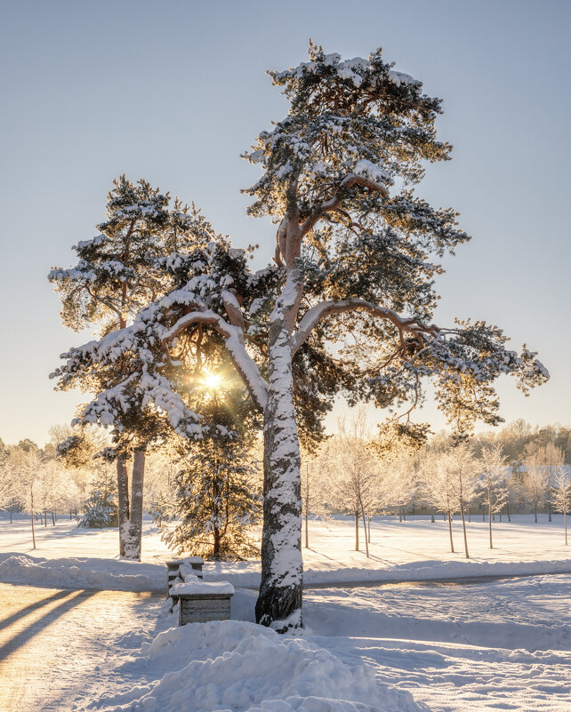 Про Питер - Владимир Колесников