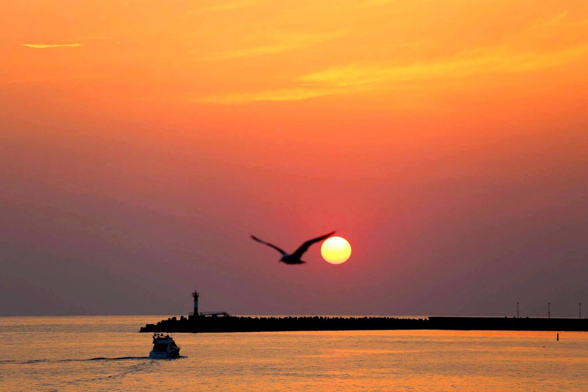 На вечернюю прогулку - Валерий 