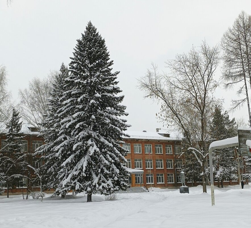 Зимний пейзаж . - Мила Бовкун