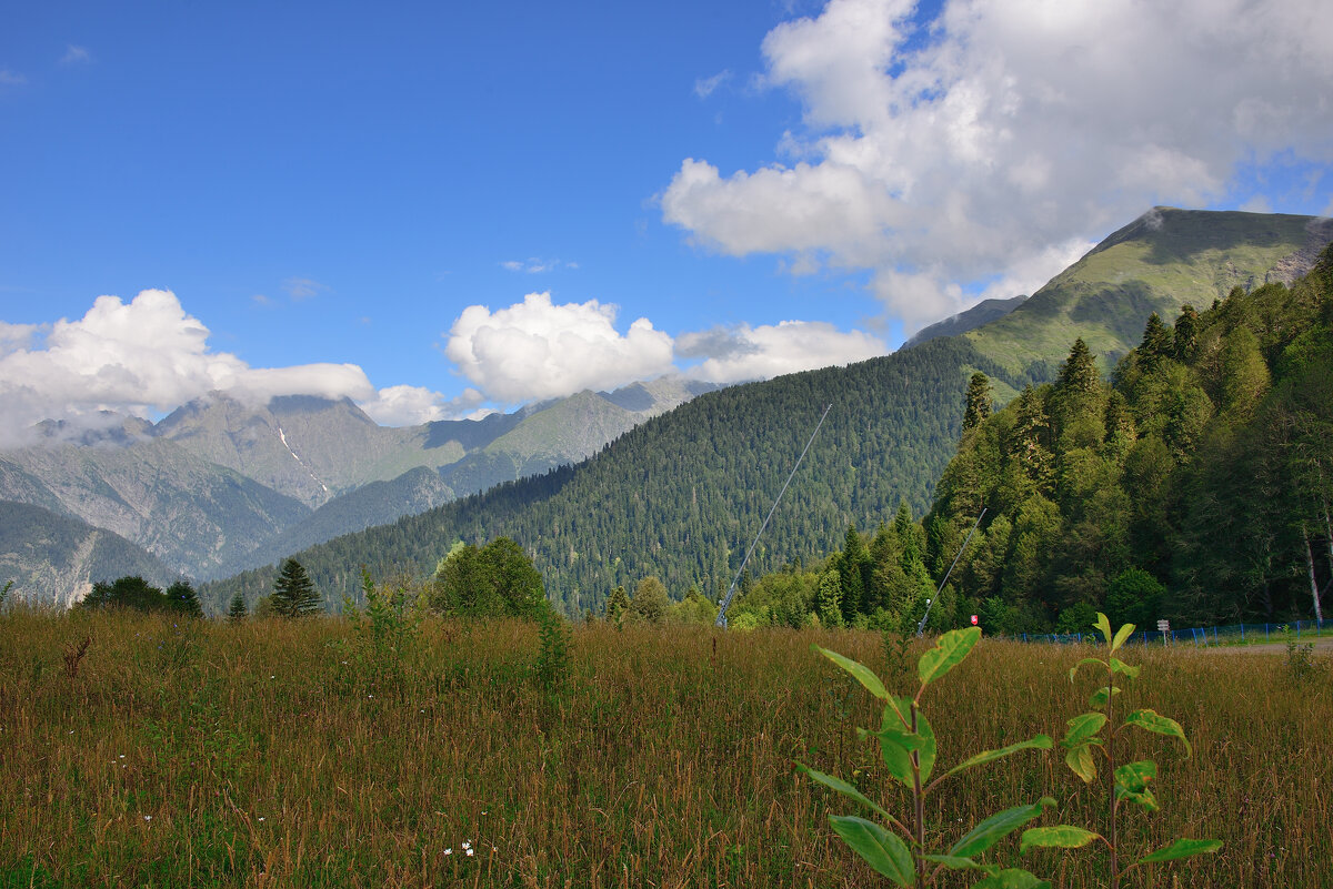 *** - Александр Хаецкий