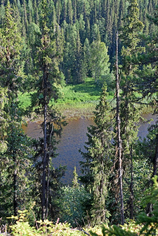 Река внизу. - ВикТор Быстров