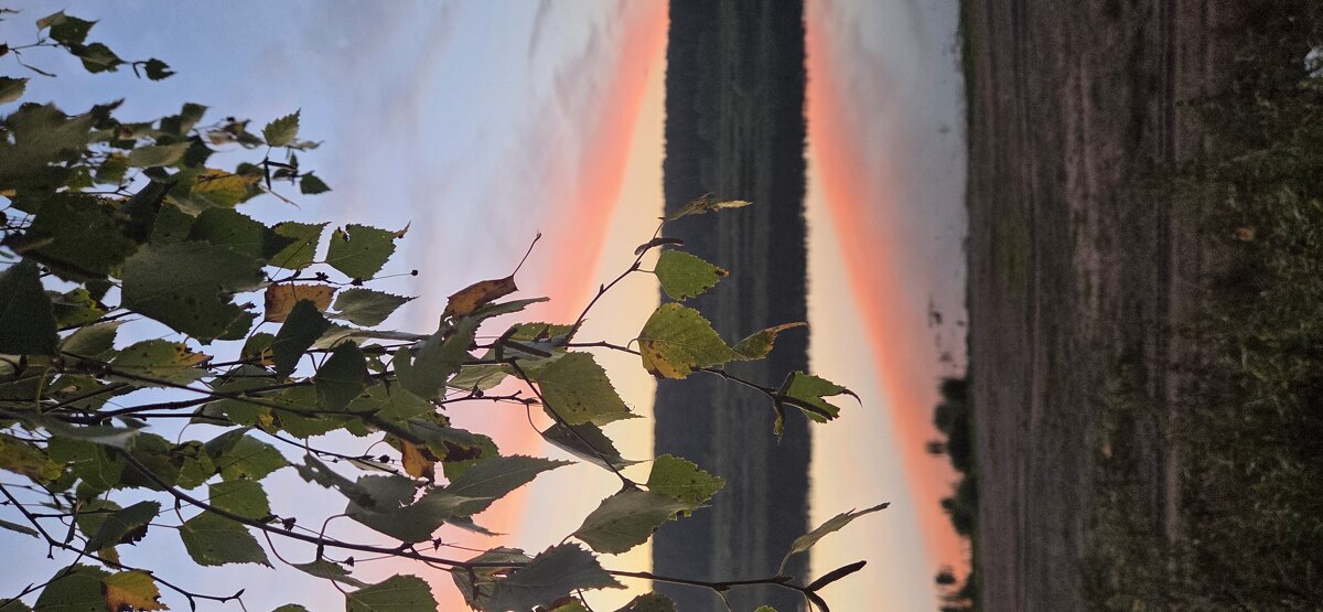 Закат - Марина Закат - Марина