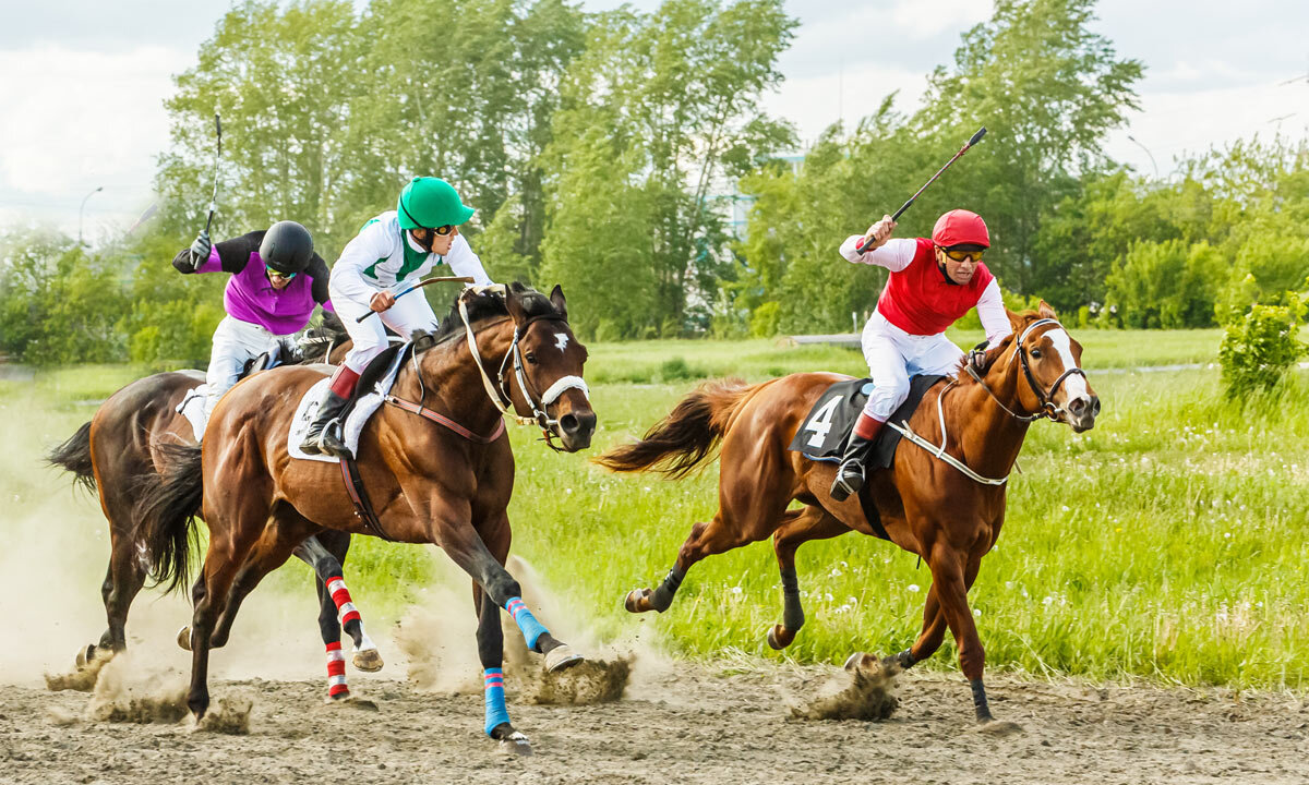 Скачки - SanSan 