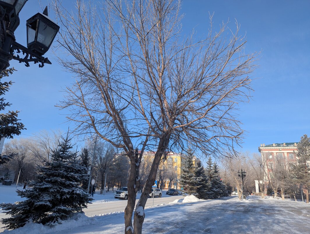 Утром в городе - Андрей Хлопонин