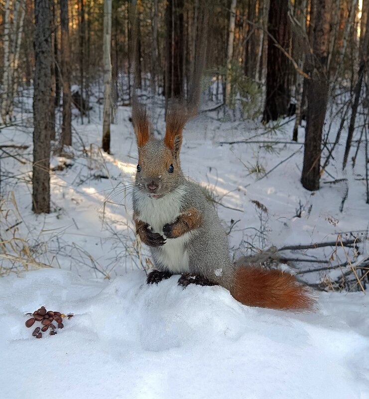 "Скромница" - Ирина *
