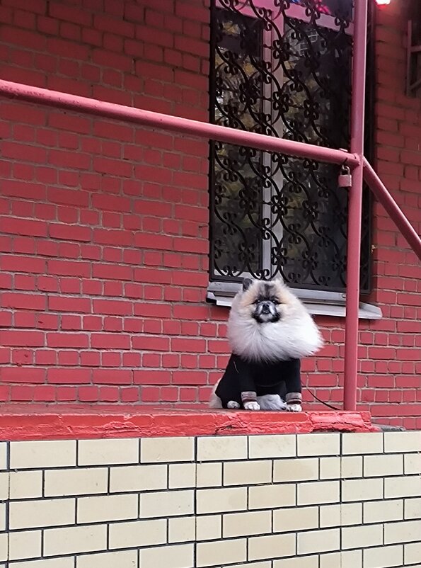 Модный прикид. - Ольга 