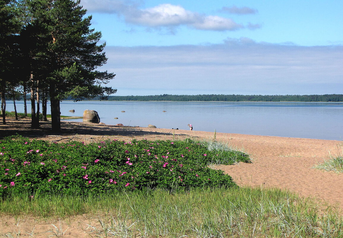 Финский залив - Александр Ильчевский 