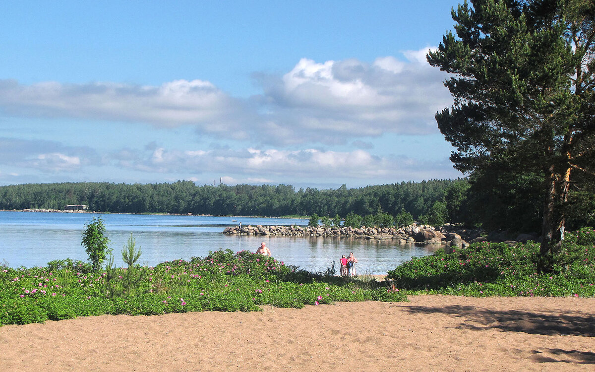 Пляж - Александр Ильчевский 