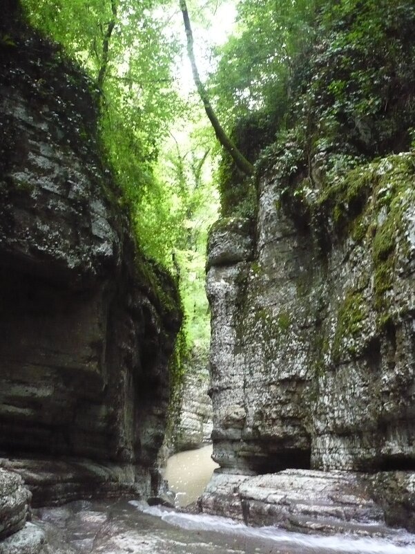 АГУРСКИЕ ВОДОПАДЫ СОЧИ - Tata Wolf