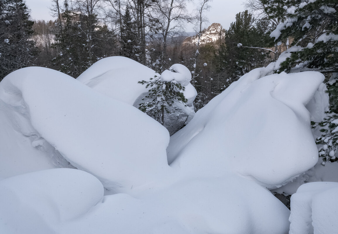 Намело. - Марина Фомина.