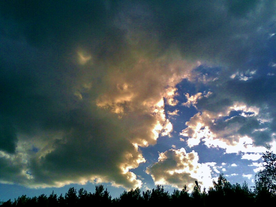 старший ругает младших - Владимир 