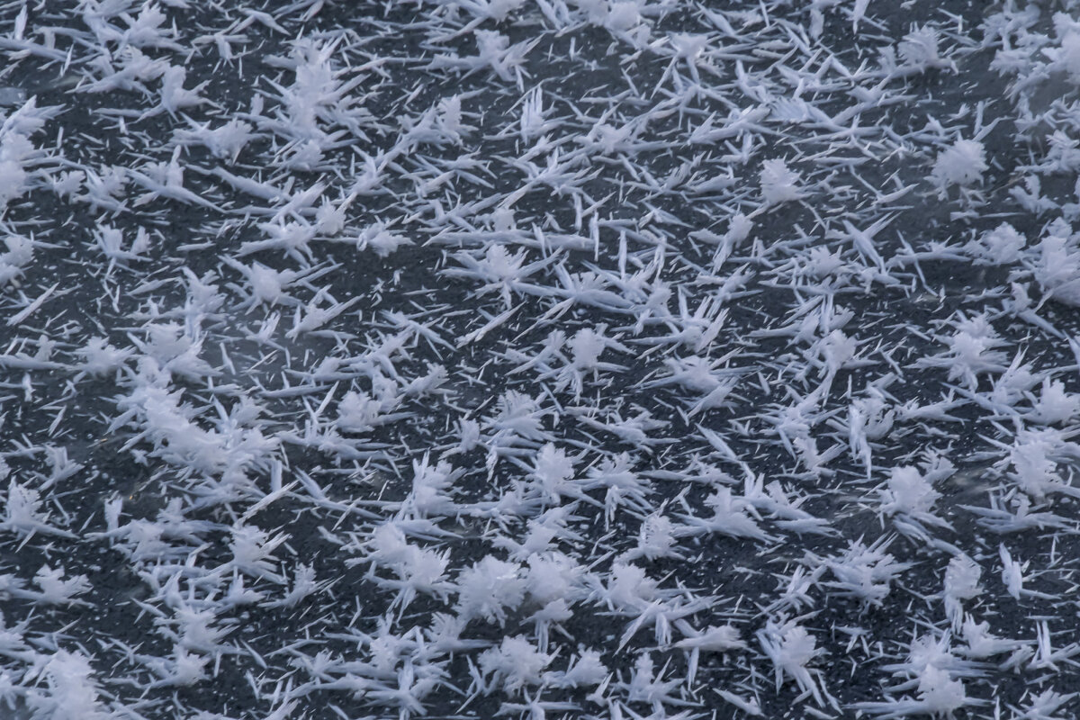 Только что формировавшийся лёд - Георгий А