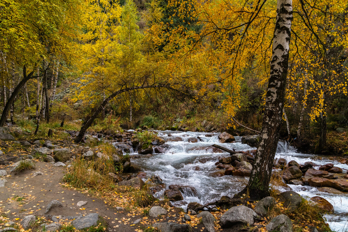 Казахстан. Алма-Ата. - Андрей Щукин
