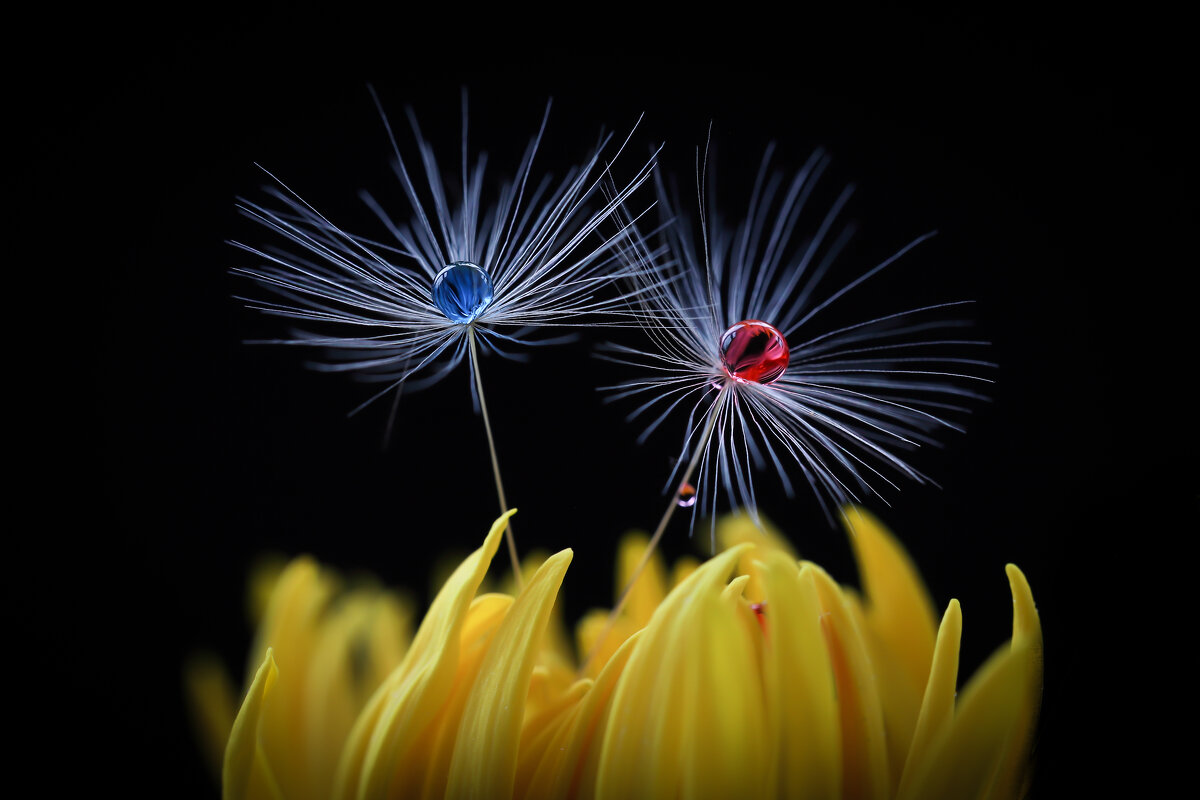 Синий, жёлтый, красный - Игорь Шевченко