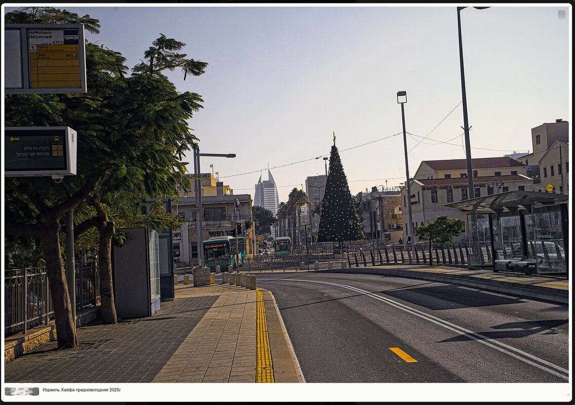 Израиль Хайфа предновогодняя  2025г - ujgcvbif 