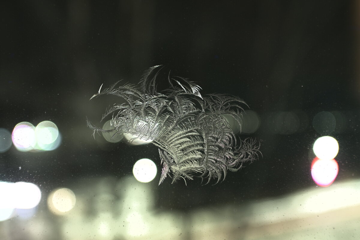 Морозное кружево на стеклянном полотне - Владислав Левашов